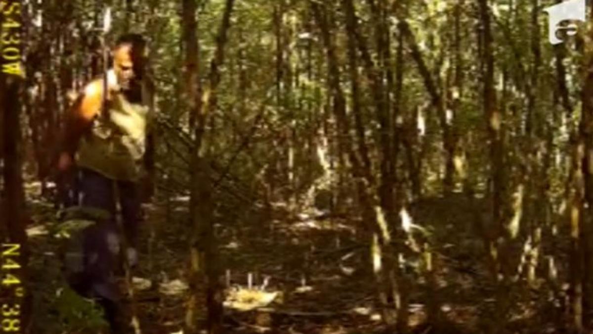 vanatoare ca in evul mediu imagini socante surprinse intr o padure de langa bucuresti