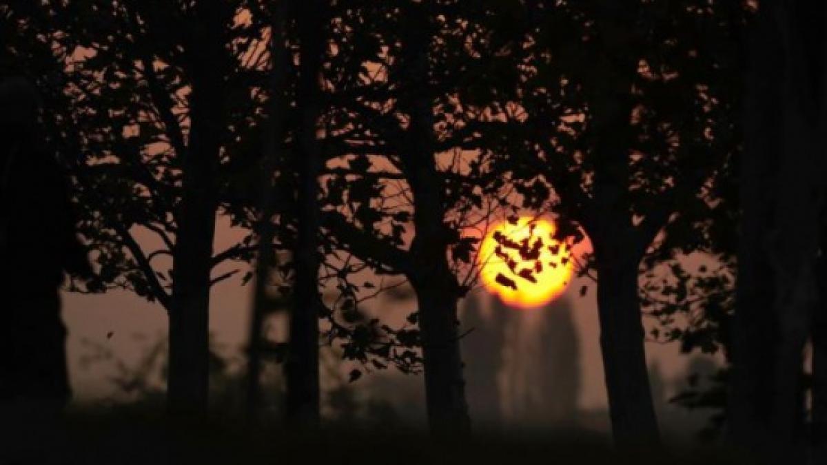 vremea continua sa se incalzeasca prognoza meteo pentru restul saptamanii