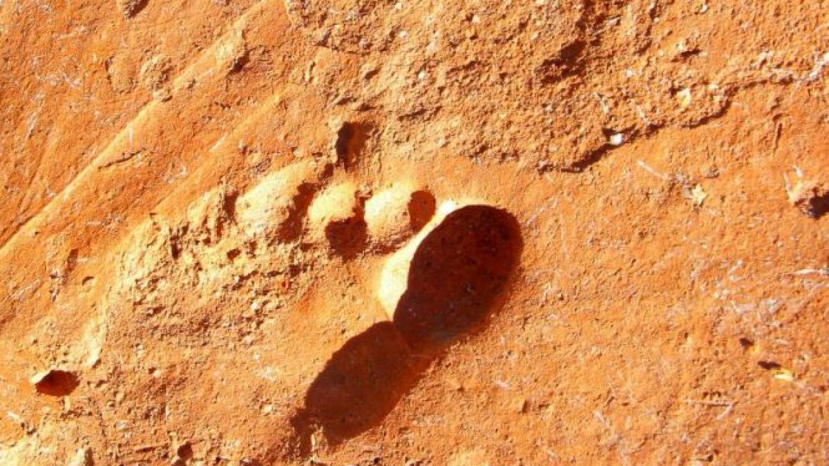 descoperire remarcabila la sarmizegetusa