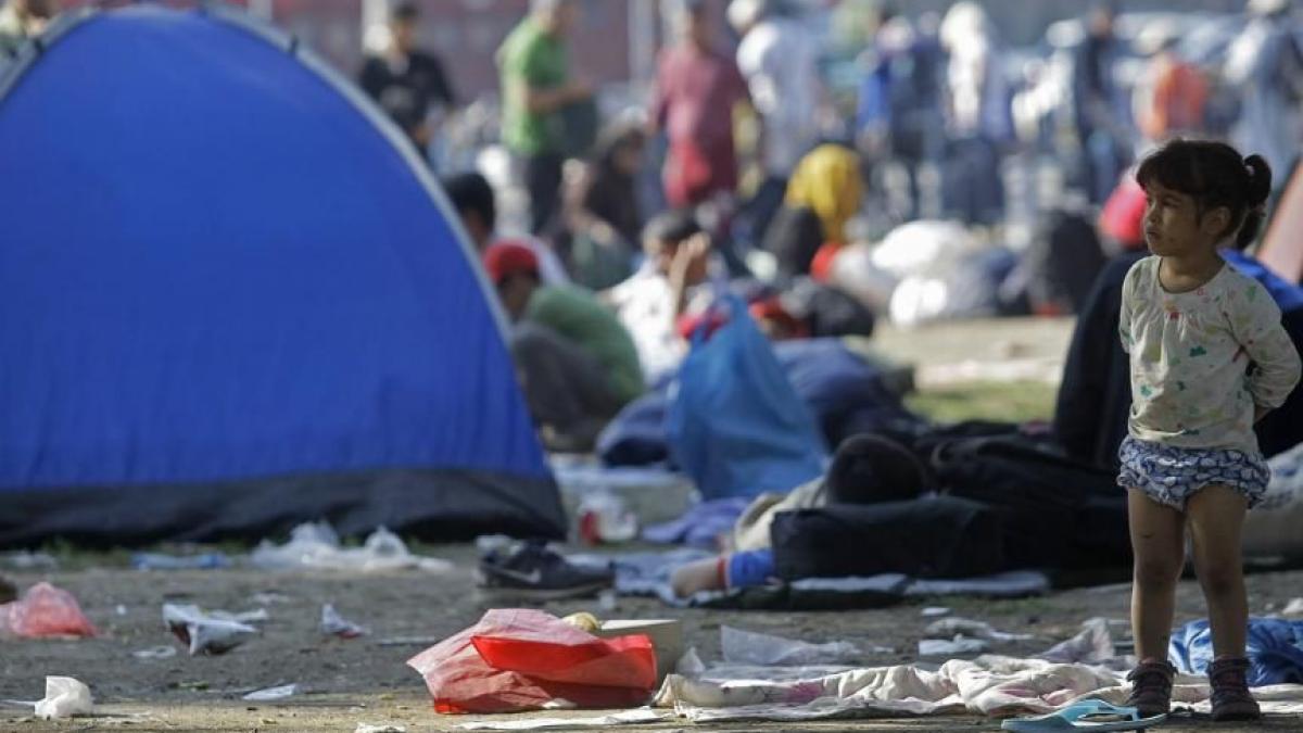 editie speciala calculele facute de guvernul romaniei si mae pentru refugiati