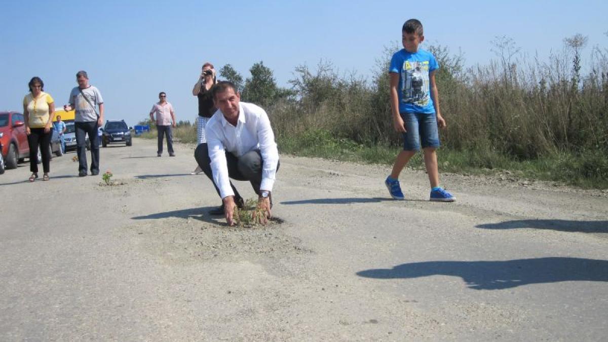 gropi transformate in ghivece pentru flori pe un drum judetean din romania foto