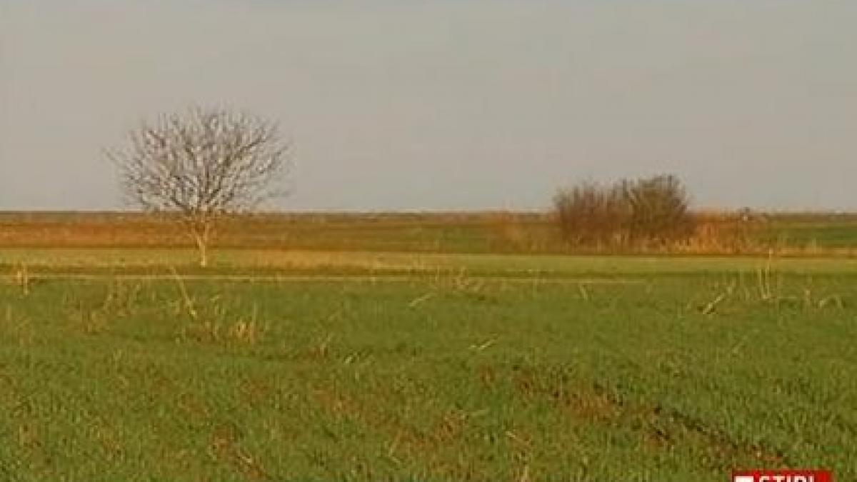 judecatorii cer refacerea urmaririi penale in dosarul nana