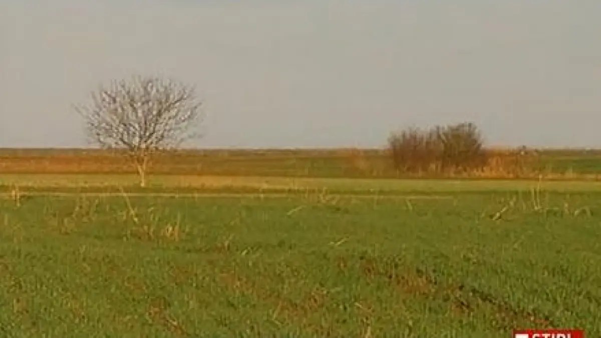 judecatorii cer refacerea urmaririi penale in dosarul nana