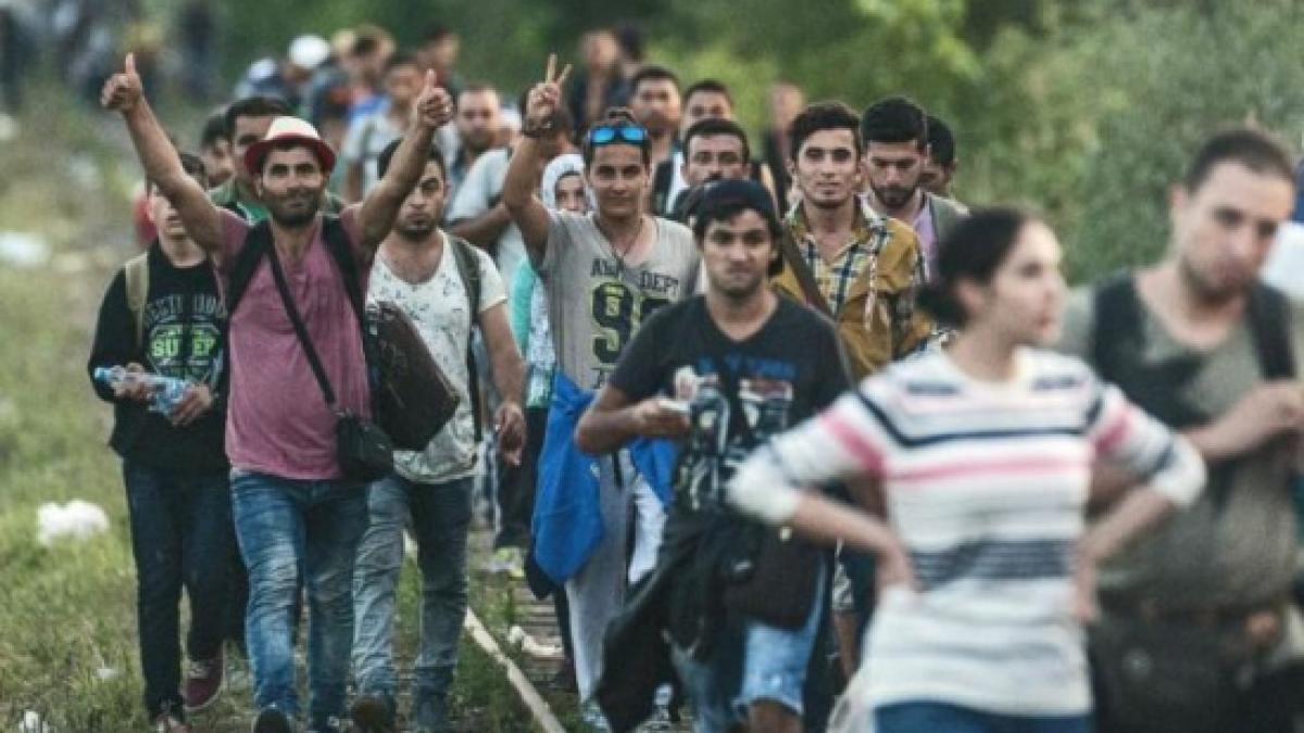 purtatorul de cuvant al pnl romania nu se afla in dificultate in criza imigrantilor nu prezentam