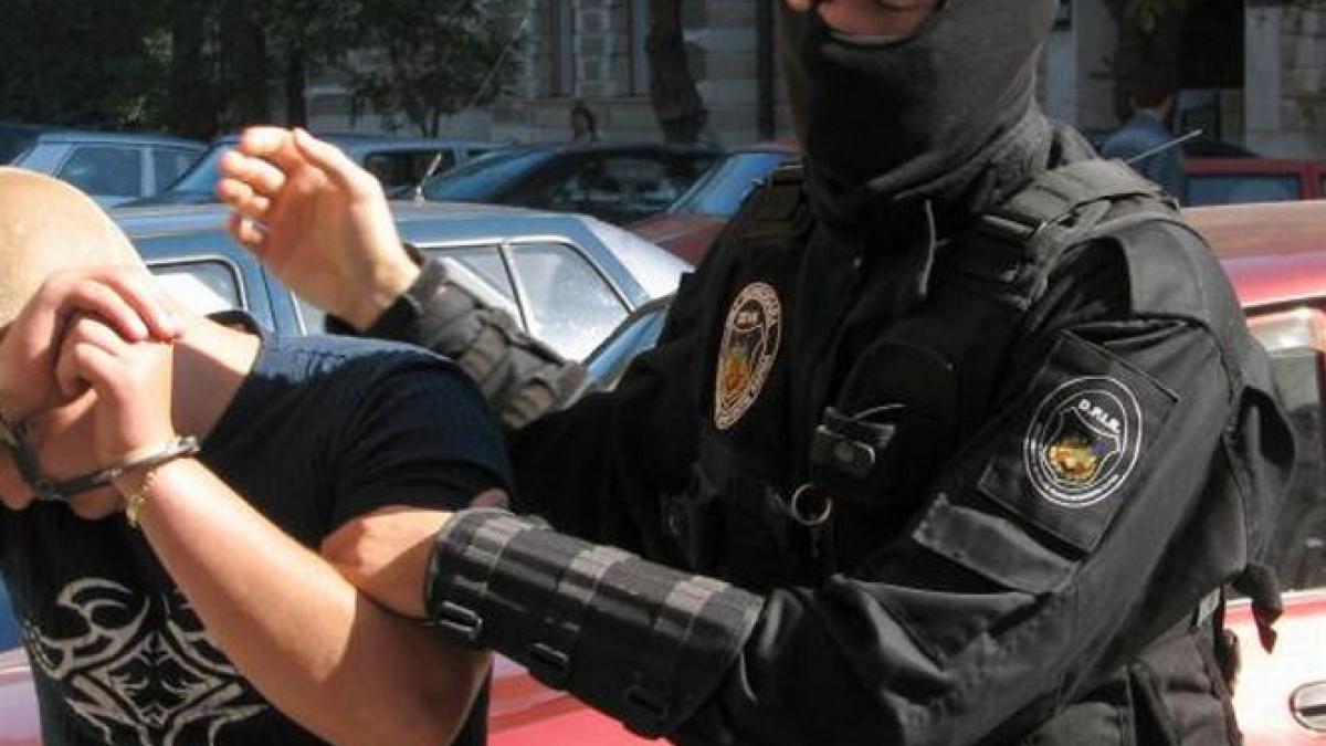 un afacerist din mafia lemnului a vrut sa si ucida rivalul asasinul platit se temea ca va fi omorat