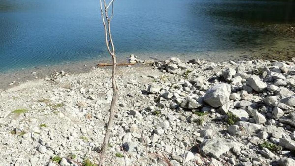 zeci de milioane de oameni se confrunta cu o seceta istorica consumul de apa redus cu 31