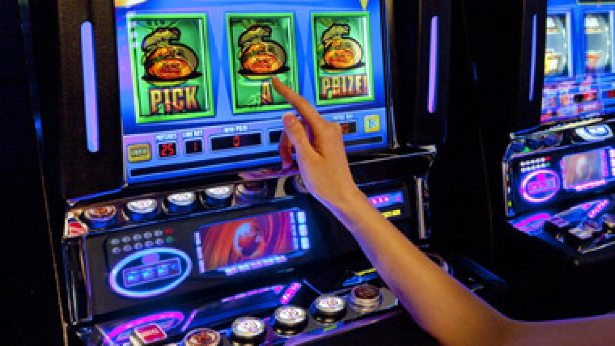 au facut milioane de euro din pacanele