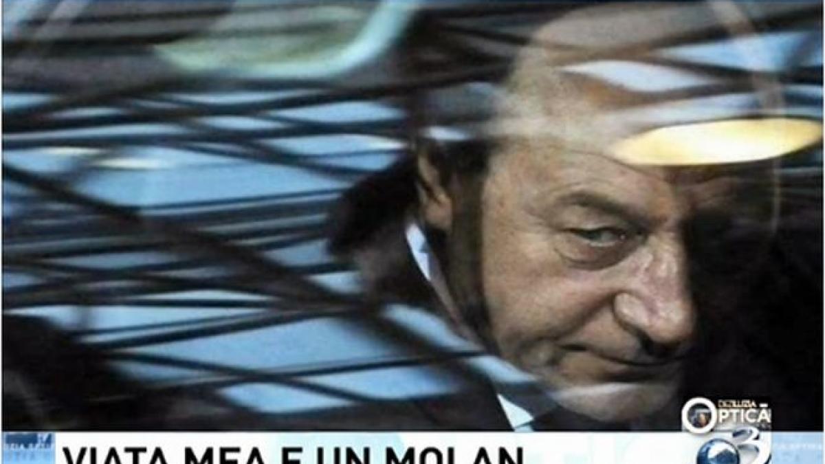 deziluzia optica viata mea e un molan