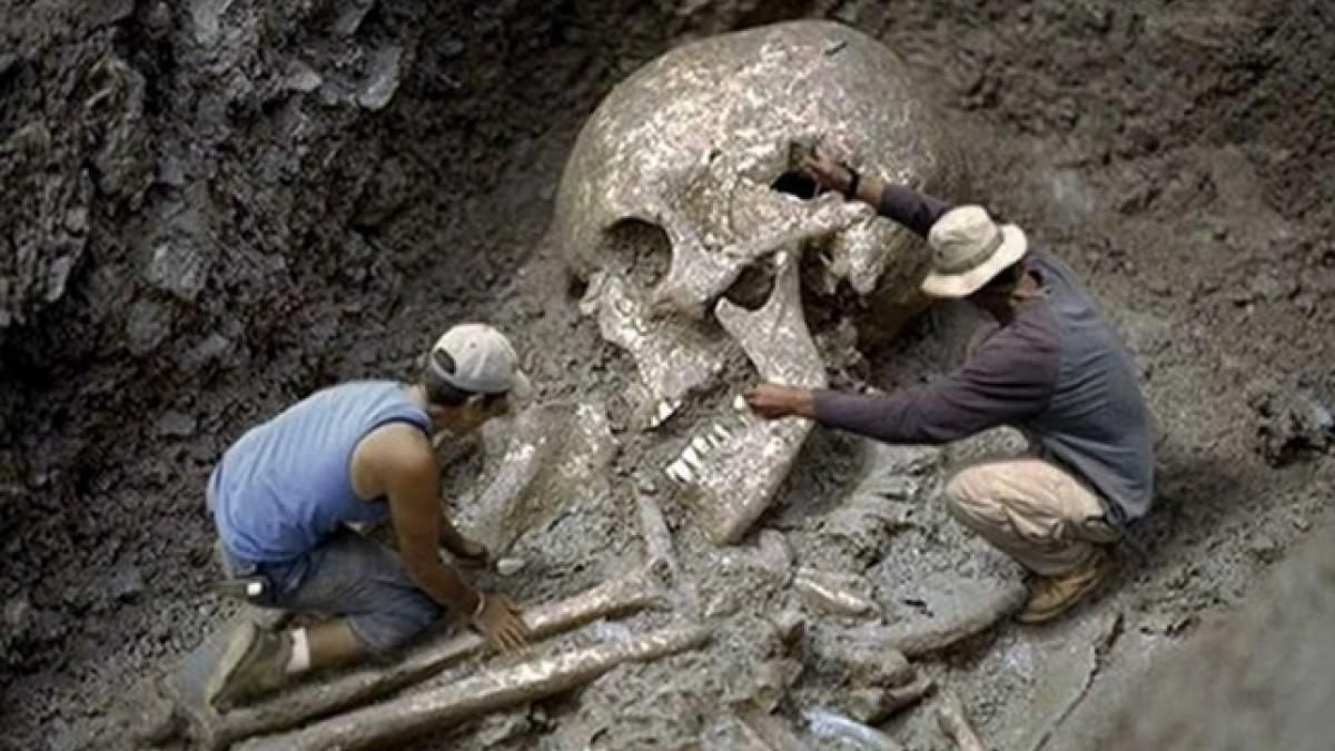 enigmele uriasilor descoperiti in romania