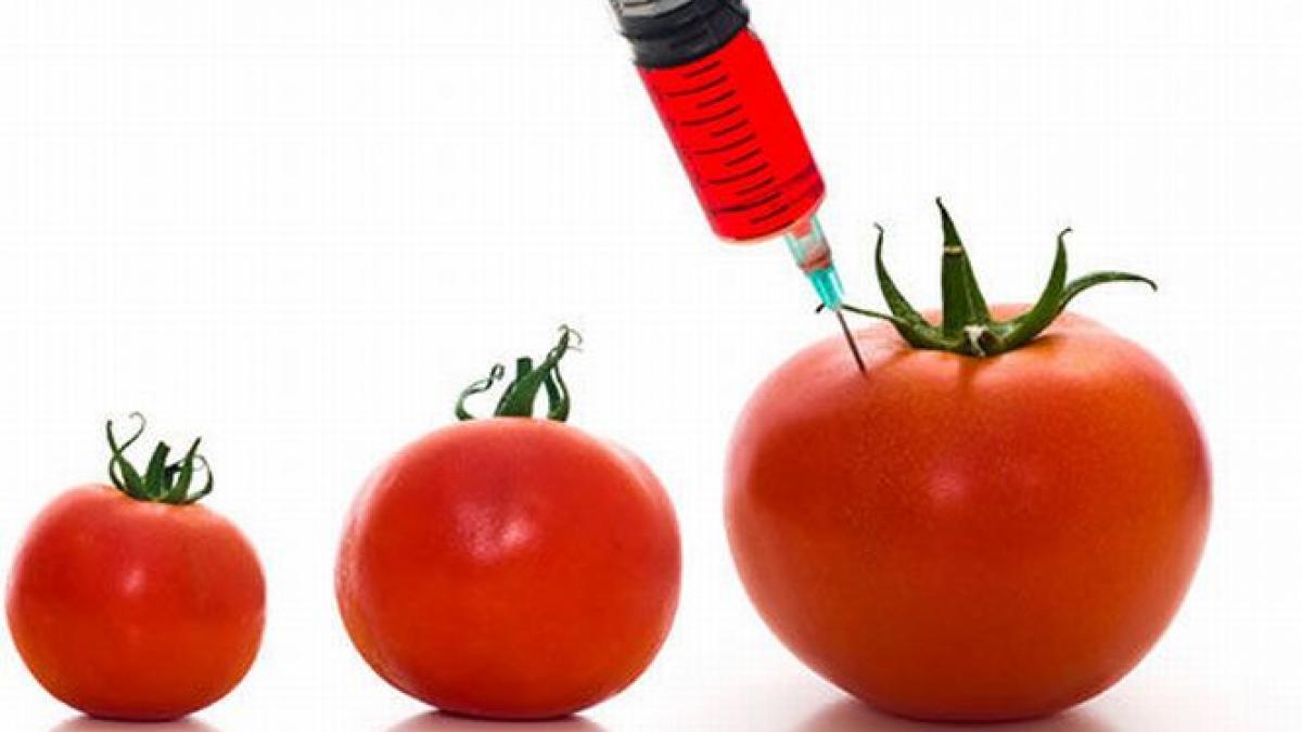 ce se va intampla cu pretul alimentelelor daca organismele modificate genetic vor fi interzise