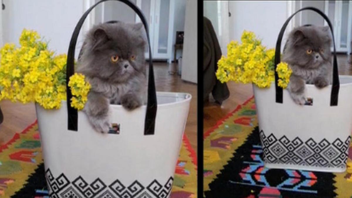 designerii romani au inceput sa si caute inspiratia in folclor