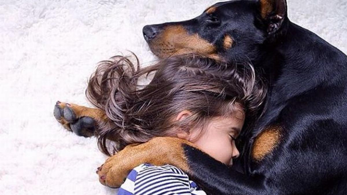 frumoasa si bestia varianta reala prietenia care a cucerit internetul