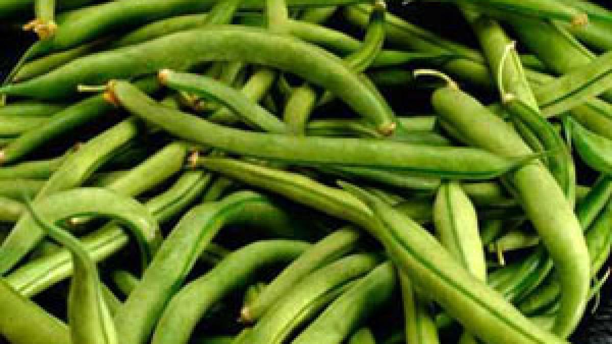 totul despre fasolea verde ce efecte incredibile are