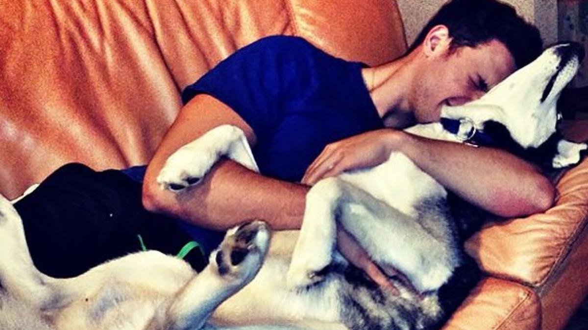 un doctor si catelul lui cuceresc internetul