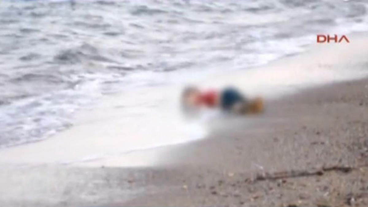 imaginile dramatice ale zilei corpurile a 11 sirieni printre care si un copil aduse de valuri pe