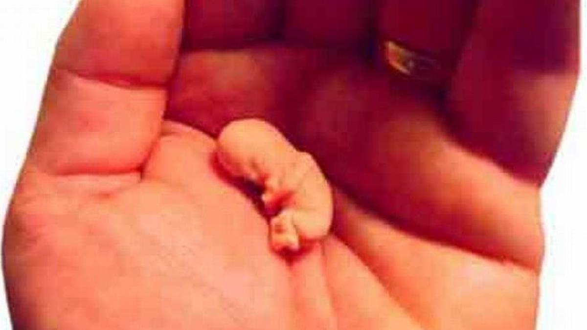 papa francisc a facut un anunt istoric ce a spus suveranul pontif despre femeile care au avortat