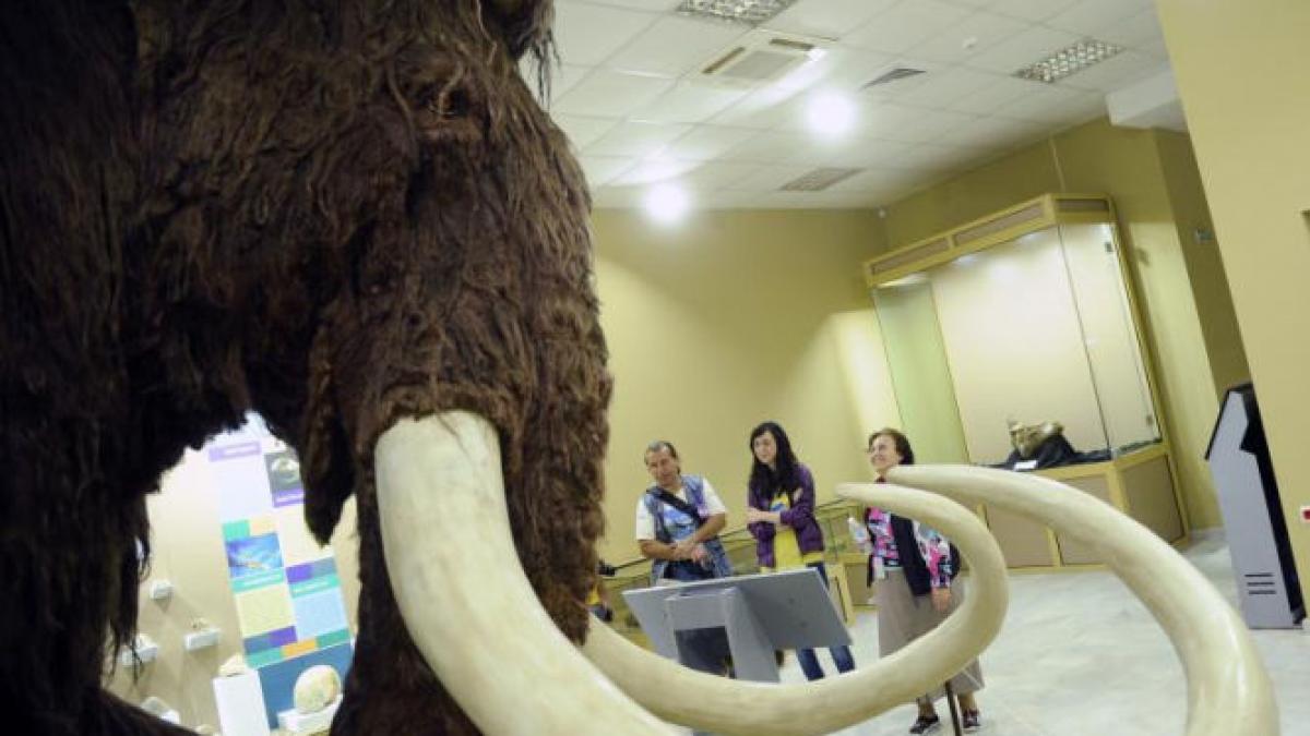 rusia a inaugurat un laborator de cercetari stiintifice pentru a studia posibilitatea de a clona