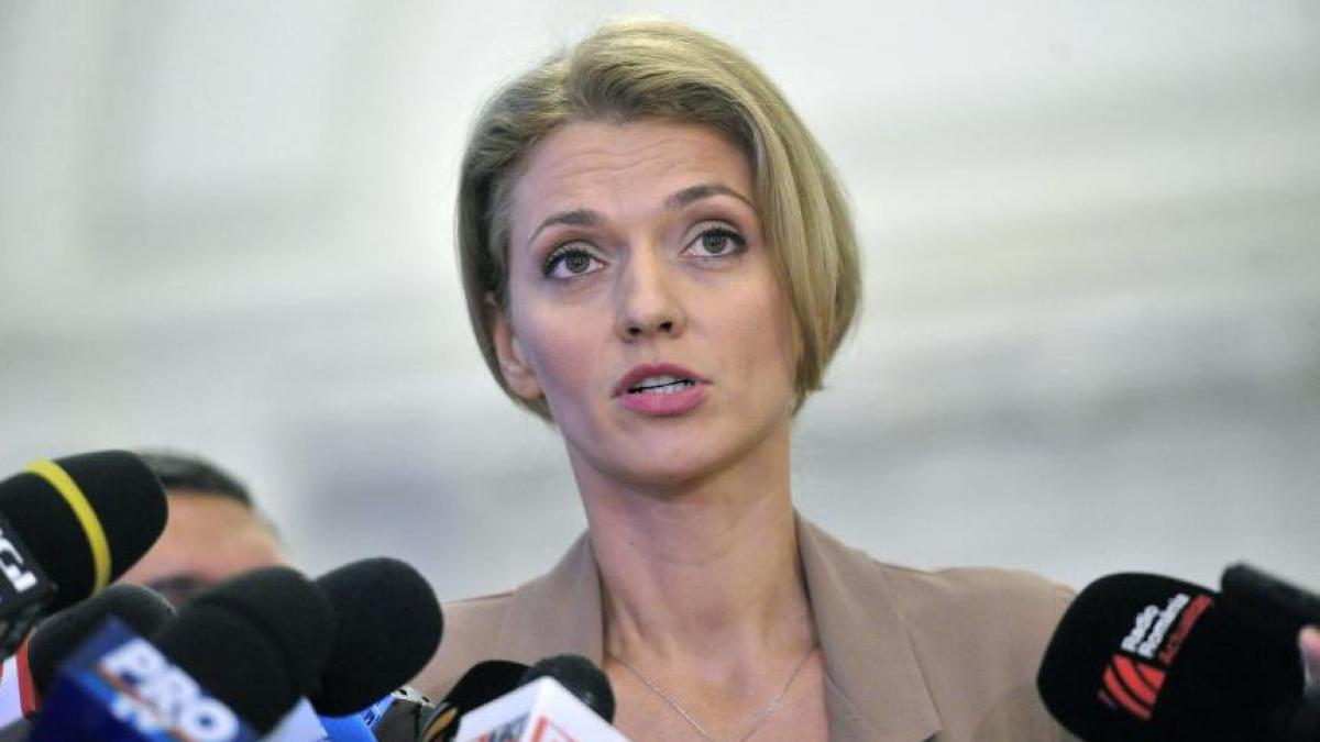 alina gorghiu parlamentul este singura institutie nereformata de douazeci de ani