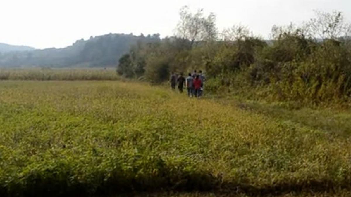 criza imigrantilor patru ucraineni care transportau mai multi cetateni afgani au fost prinsi