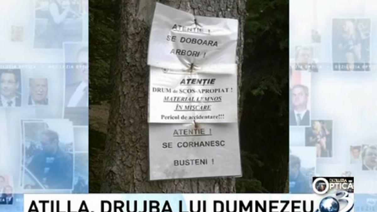 deziluzia optica atilla drujba lui dumnezeu