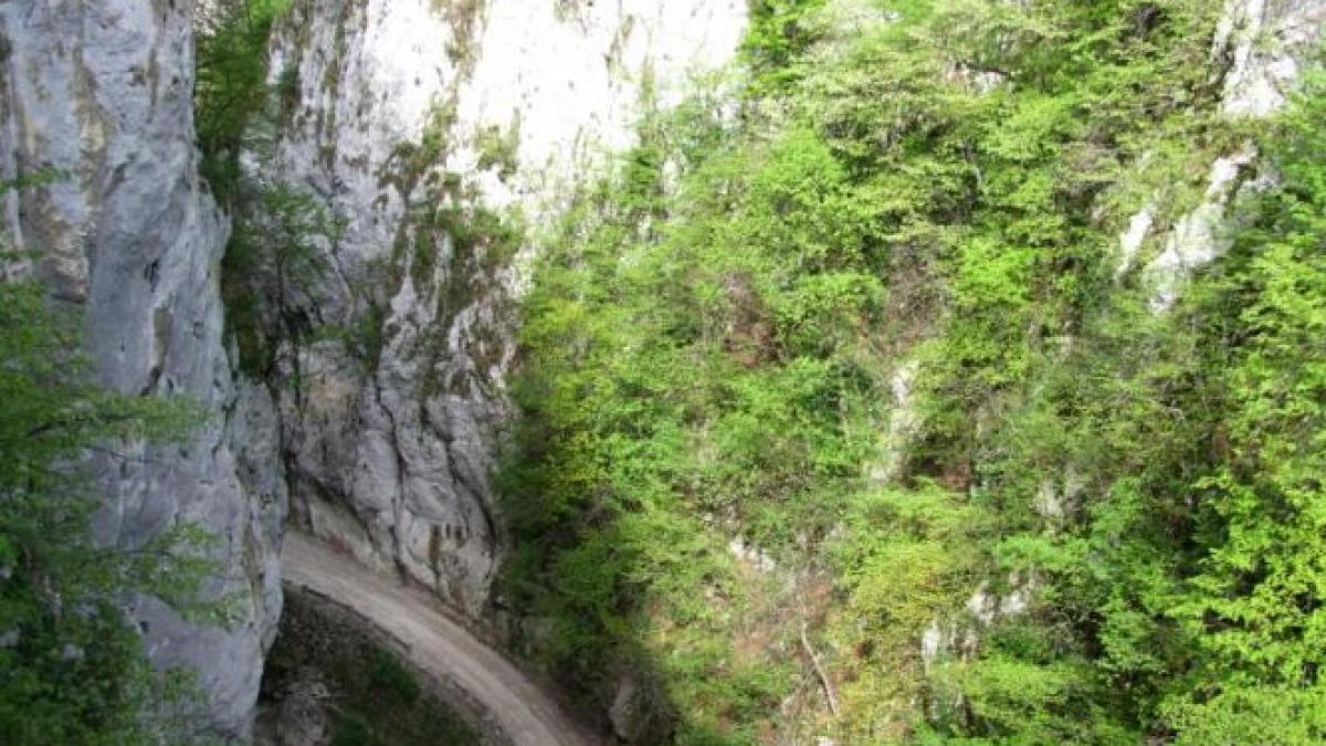 un nou documentar wild carpathia despre frumusetile romaniei