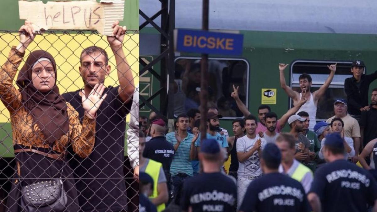 help us imigrantii si au reluat protestele in gara din ungaria in care au fost dati jos din tren
