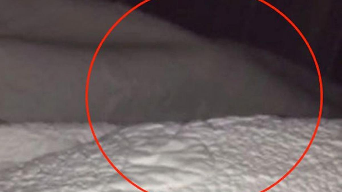 momente de groaza filmate de un barbat din canada tatal si a luat fata si a fugit de acasa