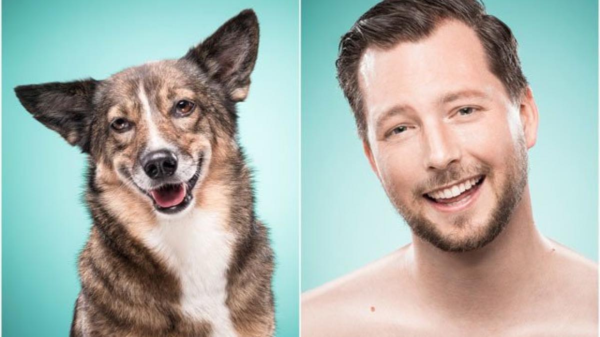 asa caine asa stapan oameni si animale cu trasaturi comune