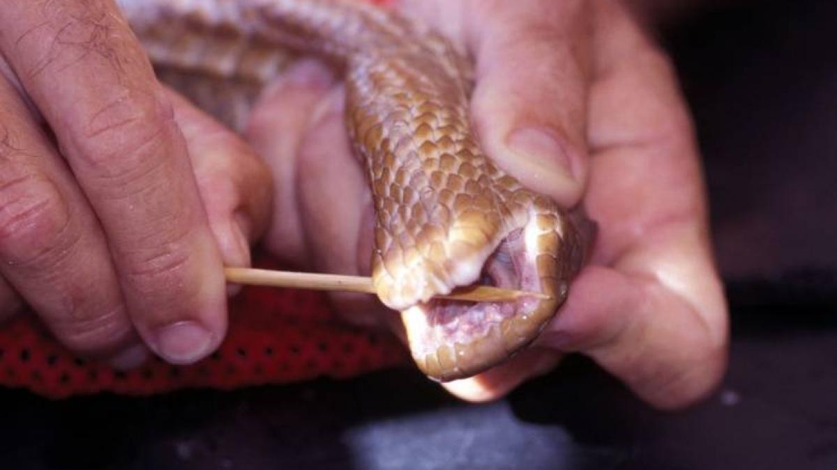 pericolul ascuns care pandeste lumea