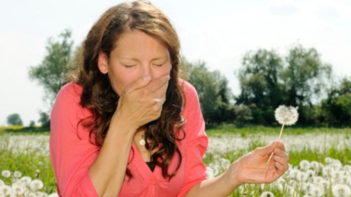 remedii naturiste impotriva alergiilor de sezon incearca le si tu