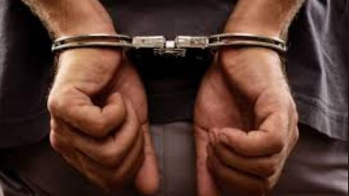 romanii care au ingrozit belgia i au speriat pe magistrati cu violenta de care au dat dovada