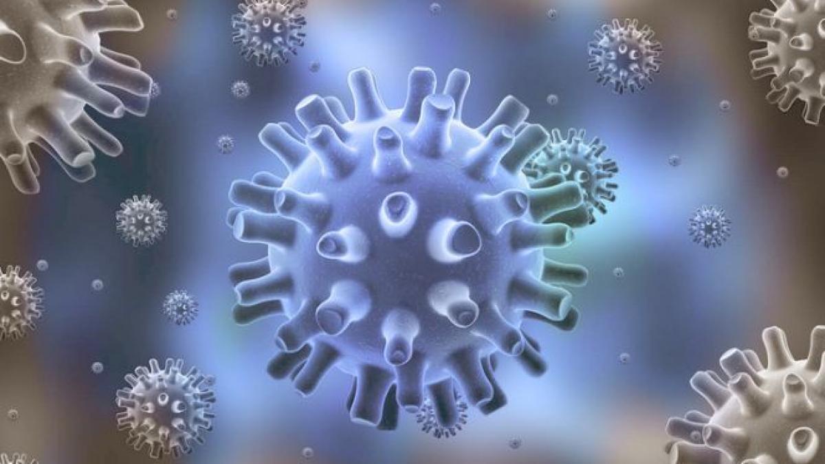 un nou virus gigantic care isi schimba forma a fost descoperit in siberia