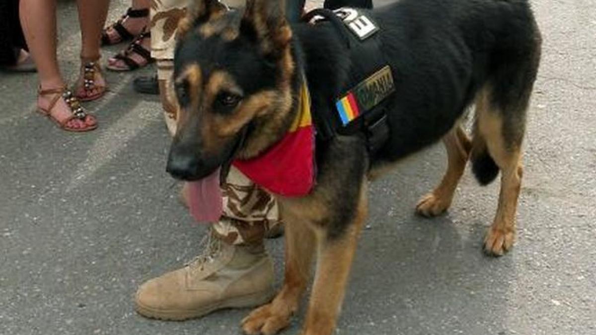 max s a stins demn brav si increzator in oameni pana la sfarsit