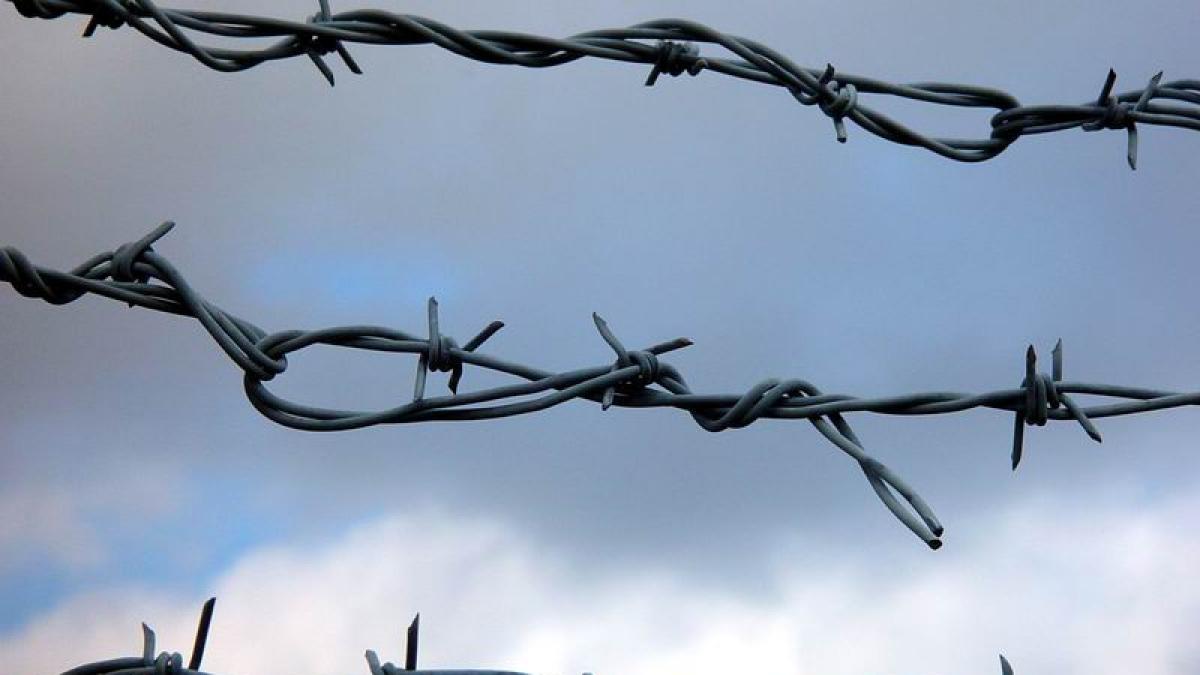 vor sa mobilizeze armata in criza refugiatilor