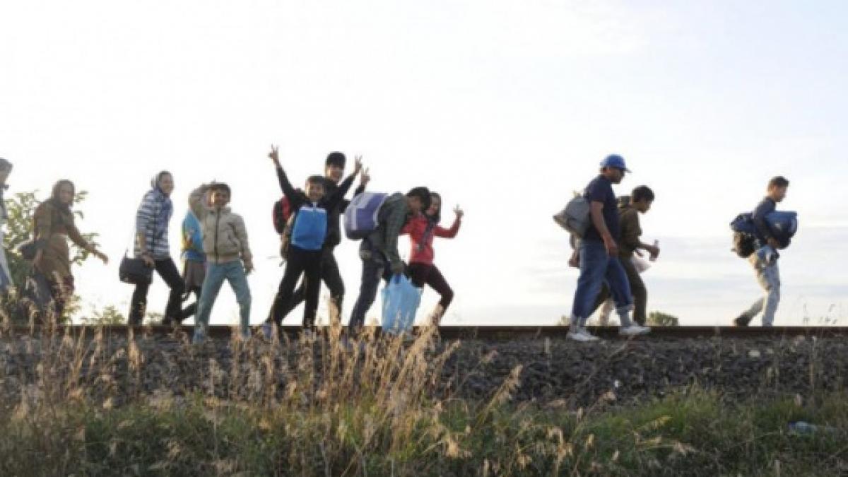 criza imigrantilor cuprinde si danemarca