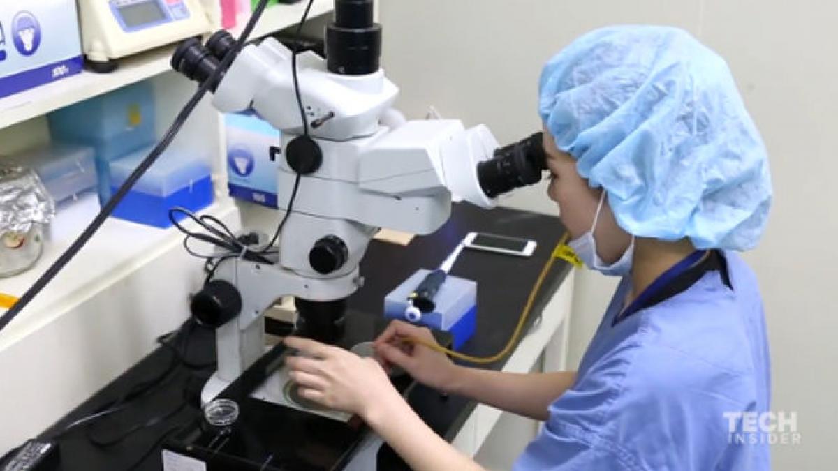 cum sa ti clonezi cainele procesul este unul extrem de usor