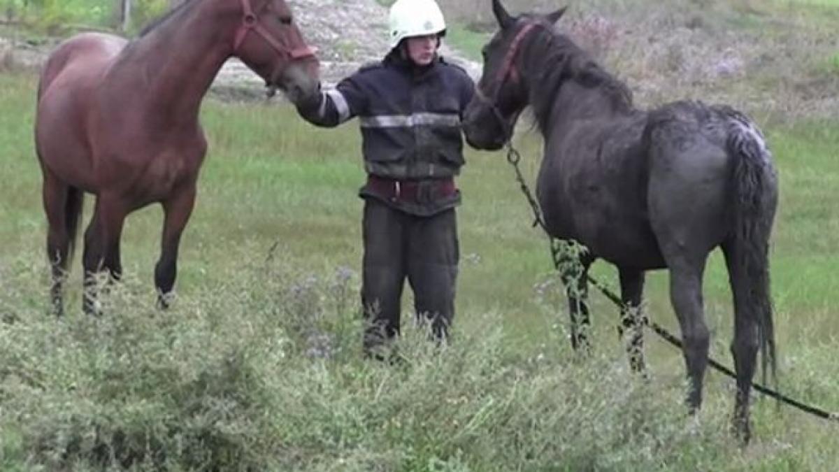 cele mai frumoase imagini ale zilei ce au facut acesti pompieri romani este impresionant