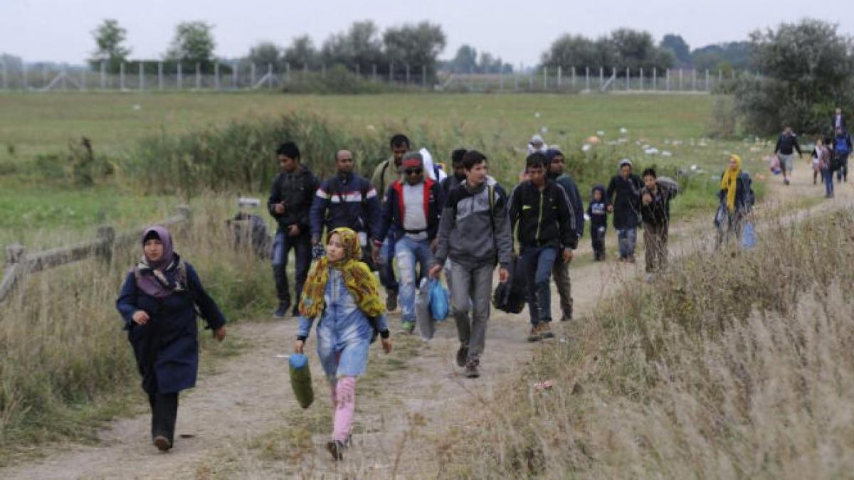 nou record de imigranti intrati in ungaria peste 3000 de militari au fost desfasurati la frontiera