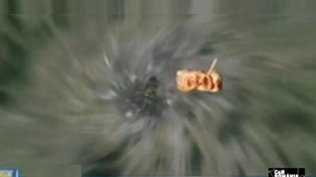 can romania cum ne ajuta micii sa ajungem pe luna