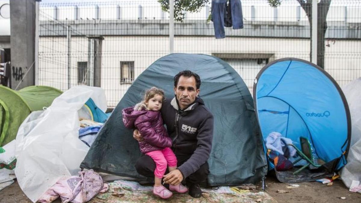 document oficial 4 236 de refugiati sirieni se afla deja in romania radu tudor cifrele oficiale