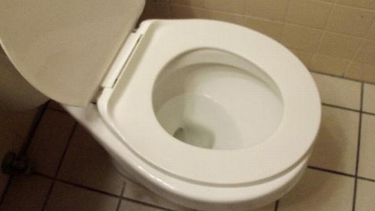 parlamentarii in pericol sa nu aiba unde sa si faca nevoile lipseste ceva esential din toaletele