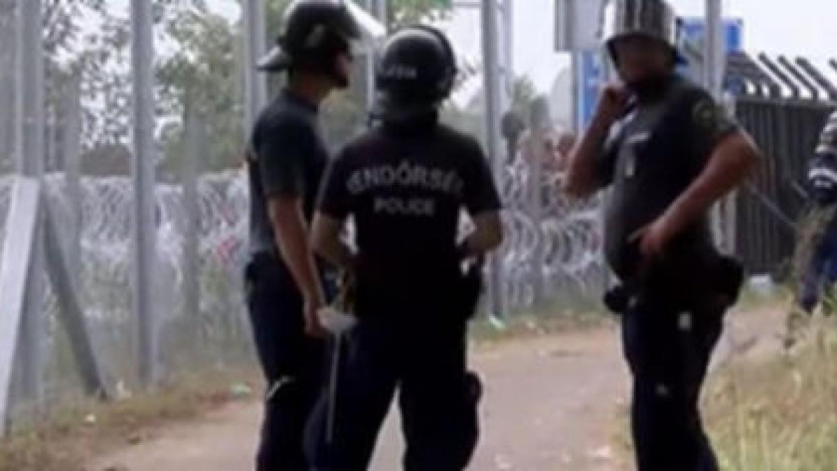 imaginile disperarii ce se intampla la granita ungaria serbia