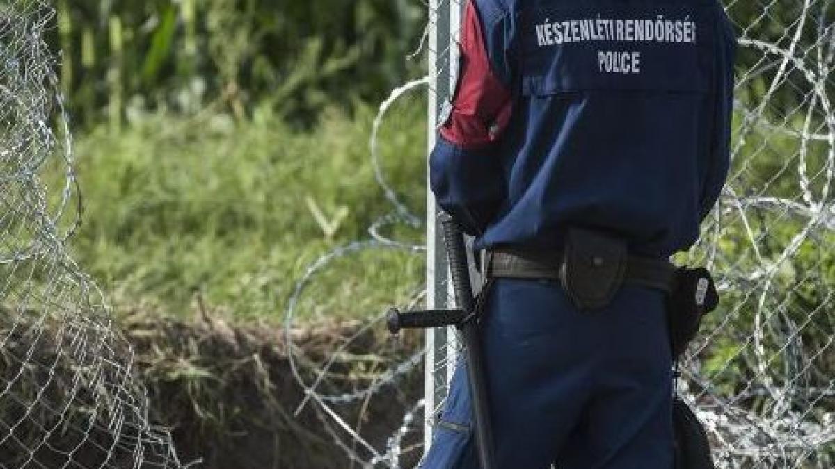 politia ungara a retinut 16 imigranti care au taiat gardul metalic de la frontiera cu serbia