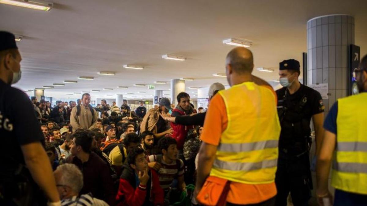 autobuze cu imigranti din serbia redirectionate spre granita cu croatia