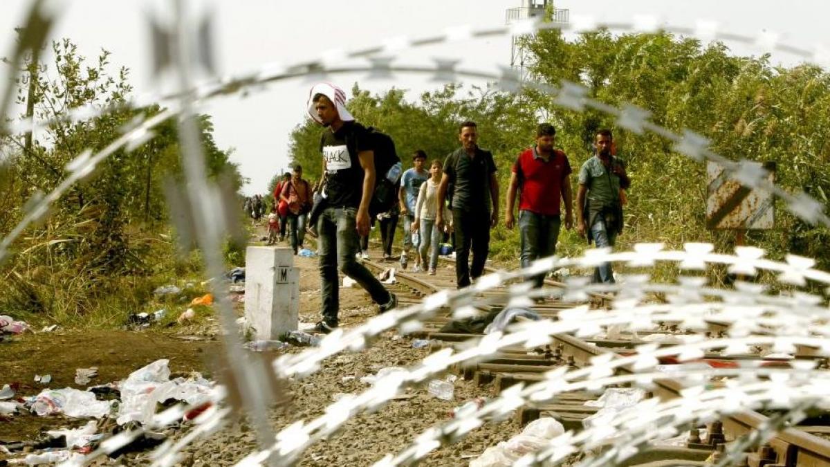 coalitia democrata din ungaria denunta planul construirii unui gard la frontiera cu romania