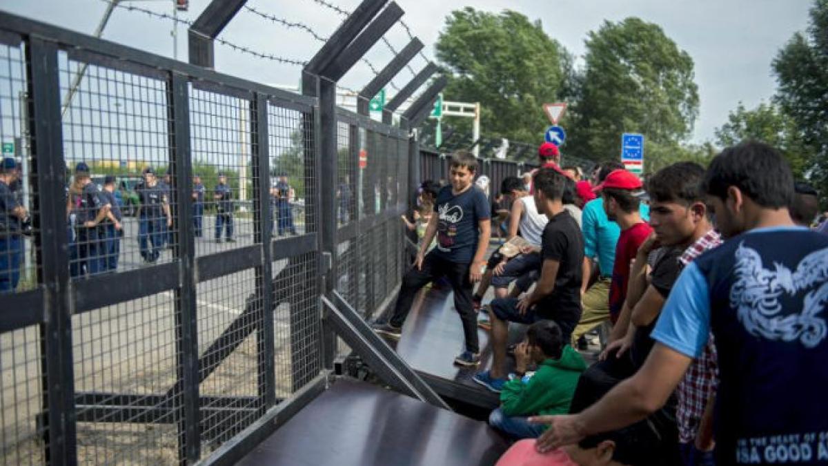 criza imigrantilor vezi ce se va intampla cu refugiatii care vor ajunge in romania