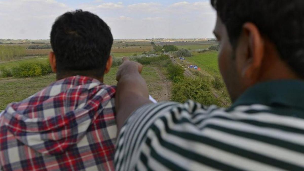 imigranti afgani prinsi cand intrau in romania le au spus politistilor ca au gresit drumul