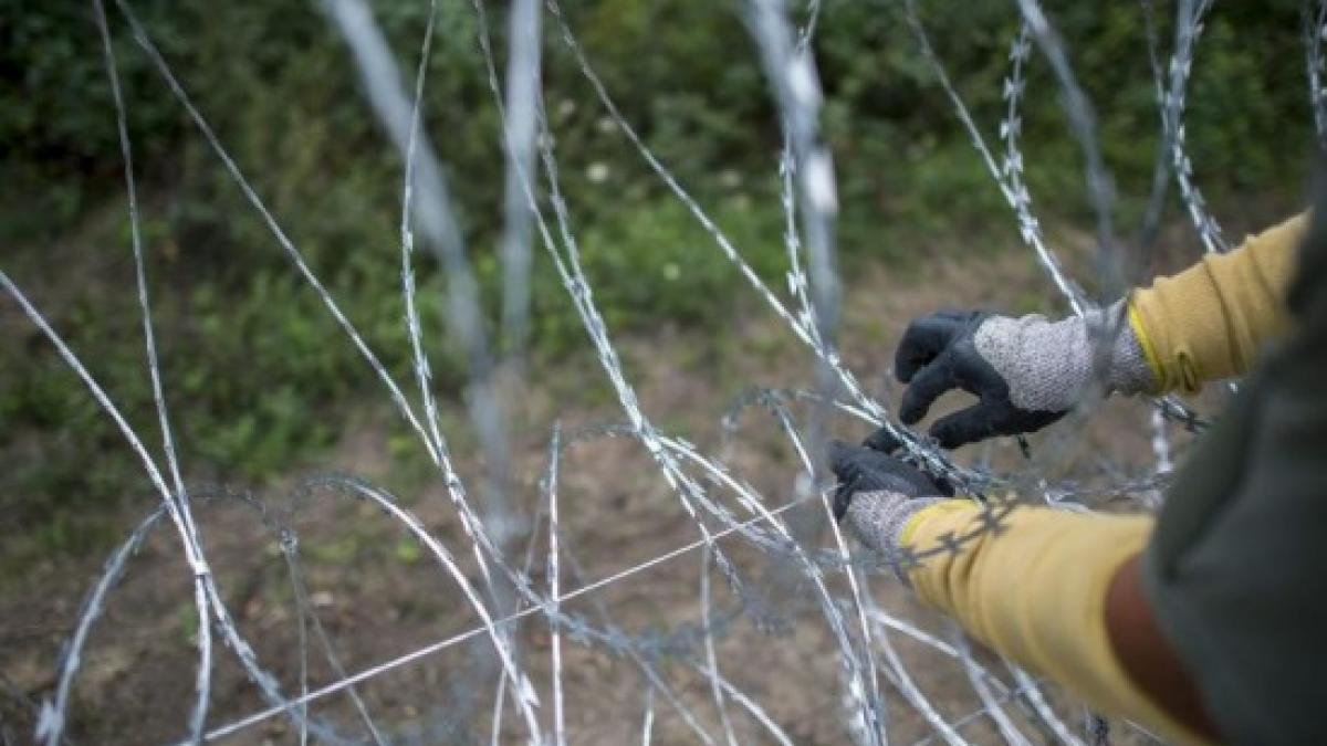 vicepremierul oprea am informatii reale din teren s a inceput construirea gardului de la granita cu