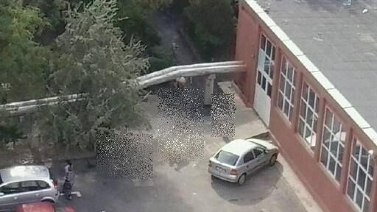 iata ce a fotografiat un iesean de la fereastra casei sale sigur vei privi de doua ori