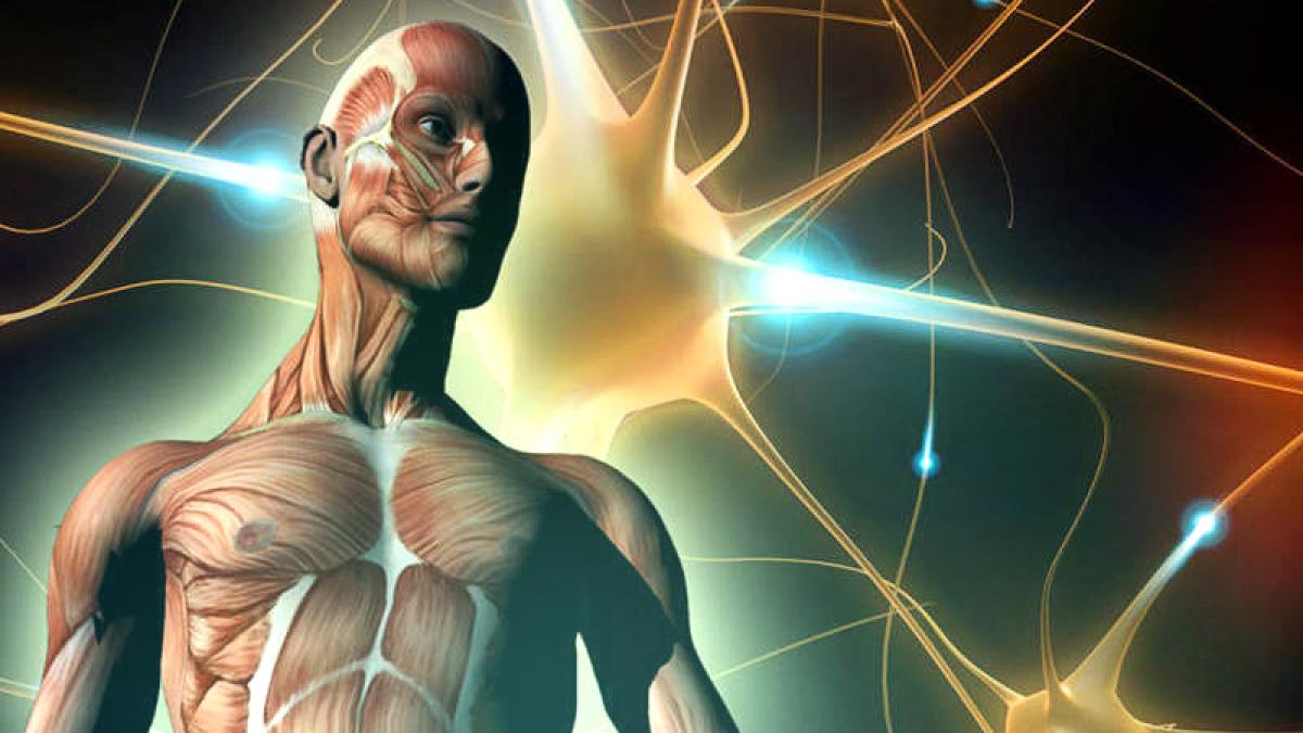 sapte lucruri pe care corpul tau le face fara ca stiinta sa le poata explica